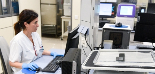 El Diagnóstico Molecular de Alergias detecta 295 alérgenos y ofrece una imagen global y muy precisa del estado de sensibilización del paciente alérgico  Juaneda